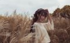 内衣办公室未增删樱花翻译